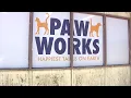 Oxnard animal shelter granted permit no longer forced to shut down