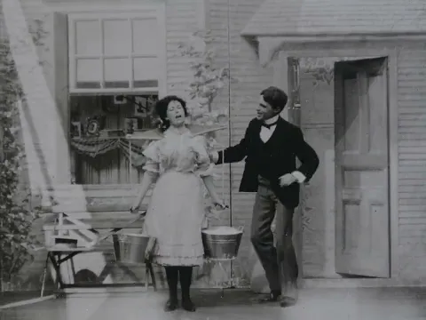 The Dairymaid's Revenge (1899)
