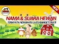 mengenal nama dan suara binatang | Edumotion Animasi Pendidikan