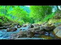 Download Lagu Relaxing Music and The Sound of Water to Relieve Worry and Anxiety, Relieve Stress, Piano music