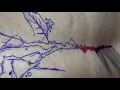 Calla Lily Tattoo Time lapse