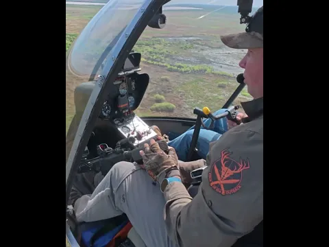 Helicopter Hog Control in the NT Floodplains#HelicopterHogControl #AerialCull #FeralPigControl