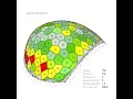 Planar polygons on a doubly curved surface - an agent based approach