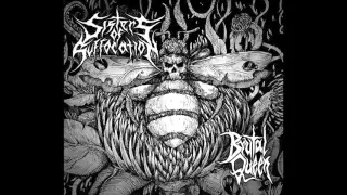 Download SISTERS OF SUFFOCATION - Brutal Queen (Full EP) MP3