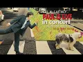Download Lagu Paul McCartney - The New World Tour 1993 (The Definitive Edition) (2K)