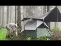 Download Lagu Never ending Long Heavy Rain‼️ Camping Alone in Super Heavy Rain‼️