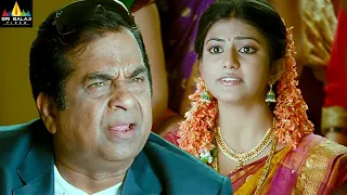 naayak movie brahmanandam pellichoopulu comedy latest telugu scenes ram charan sribalajimovies