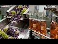 Lagu What REALLY Happens Inside a Wine Factory? (The Hidden Truth) - Process Factory