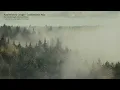 Applefish & Lauge Continuous Mix | Journey through ethereal forest