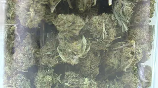 Nixa City Council discussing where marijuana dispensaries may operate