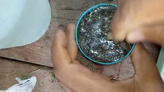 قياس ملوحه التربه والماء في خطوات بسيطه     دندنها