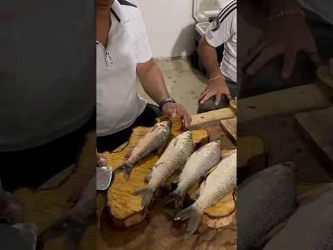 Llego la mejor hora de la pesca!  #shorts #pesca #colombia