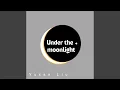 Under the Moonlight
