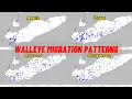 Lake Erie Walleye Migration