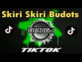 Tiktok Viral | Skiri Skiri Budots | Dj Ericnem