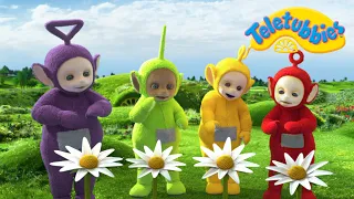 Belajar Berhitung Angka 4! | Teletubbies Bahasa Indonesia - WildBrain | Belajar untuk Anak-Anak