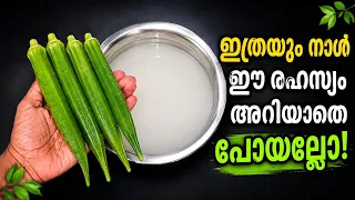 😋എന്റെ പൊന്നോ വെണ്ടയ്ക്ക ഇങ്ങനെ ചെയ്താൽ ഇത്രയും രുചിയോ വെണ്ടയ്ക്ക കഴിക്കാത്തവർ പോലും കഴിച്ചുപോകും