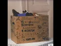 Super Flu - Nickeltoe