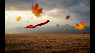 А Вітер Знає Зворушлива Романтична Пісня 