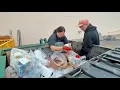 Dumpster Diving at Dollar Stores in Rhode Island
