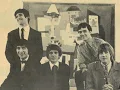 The Beau Brummels Laugh Laugh