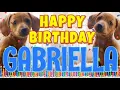 Lagu Happy Birthday Gabriella! ( Funny Talking Dogs ) What Is Free On My Birthday