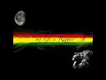 Tribal Seeds - Roots Party Lyric
