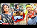 Lagu Maugi Ke Gulam | #video | मौगी के गुलाम | Amit Ashik | Manita Shree | Maghi Song 2022