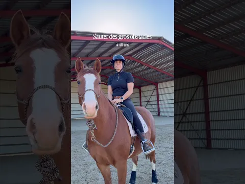 20s⚡️40s Sauter des gros obstacles 🐴 #humour #equestrian #horse