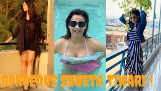 shweta tiwari compilation latest hd rahul siloth