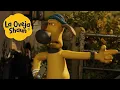 Download Lagu La Oveja Shaun 🐑 Perro del Reino Nocturno 🐑 Dibujos animados para niños