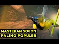 Download Lagu Masteran Sogon Full Isian Mewah, MASTERAN SOGON ISIAN MEWAH SUPER JERNIH mp3
