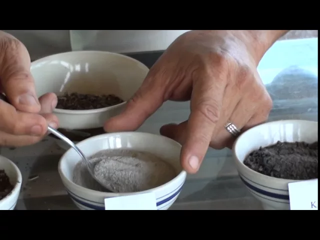 ADUBO ORGÂNICO PARA ORQUÍDEAS I COM TORTA DE MAMONA