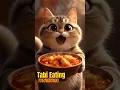😲 You Won’t Believe How This Chubby Cat Eats Spicy Tteokbokki! 🔥🐱 #shorts #cutecat #trending