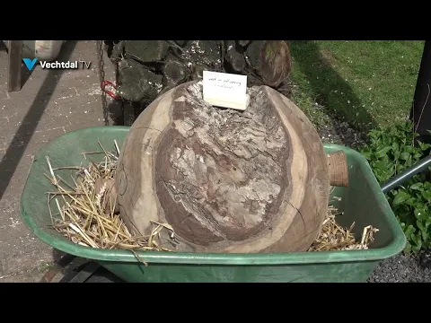 Wat zijn Boomballen, hoe maak je ze en wat kun je er mee doen?