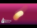 Flexible Fire - Malva [Monstercat Release]