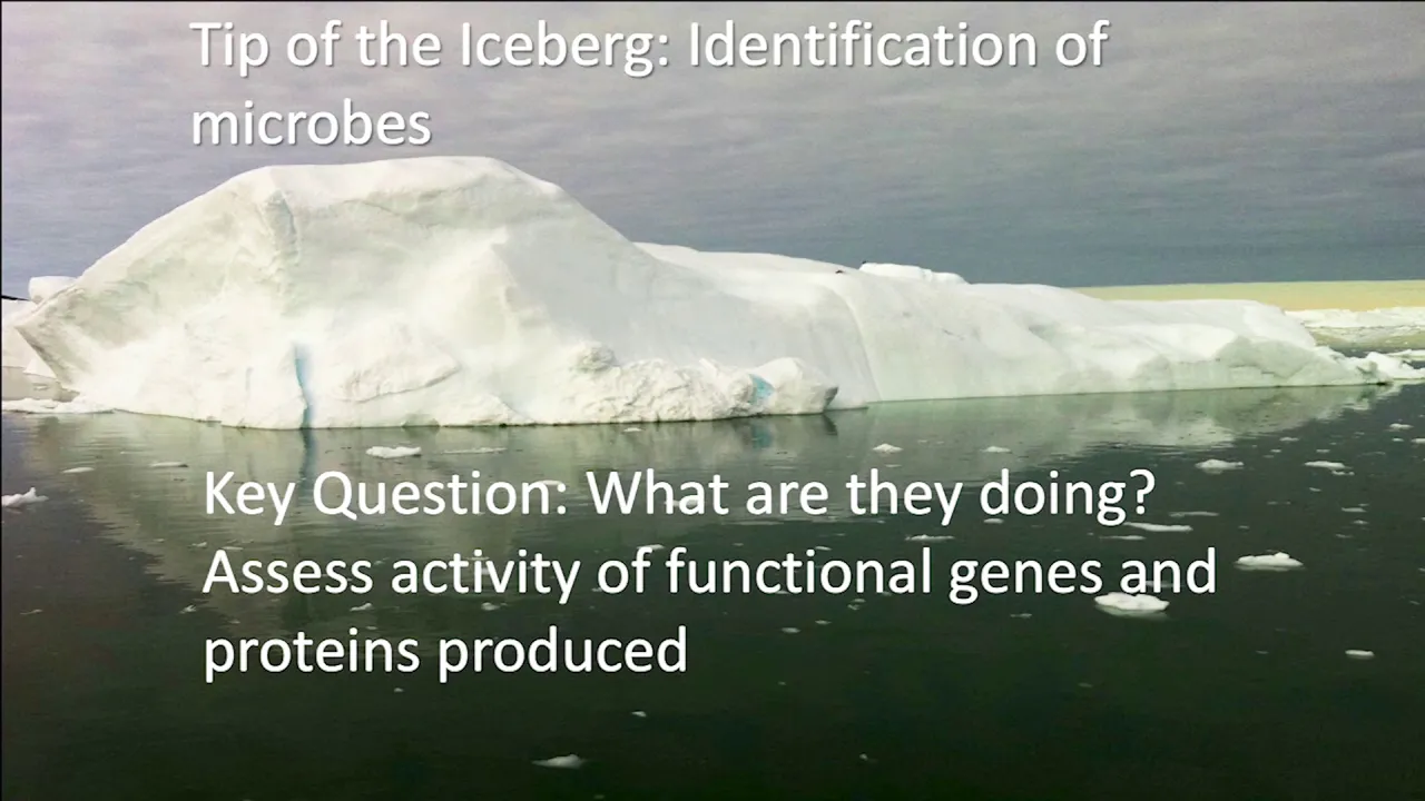 Soil Microbiomes and Climate Change