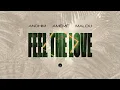 andhim, AMÉMÉ & Malou - Feel The Love | Insomniac Records