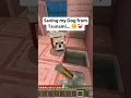 Minecraft Epic rescue at the End