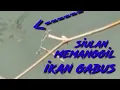Download Lagu Siulan memanggil ikan gabus