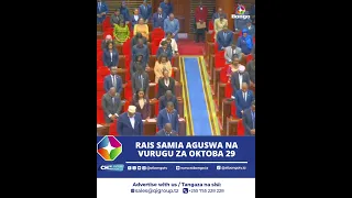 RAIS SAMIA ALIVYO SIMAMISHA WABUNGE KUKUMBUKA TUKIO LA OKTOBA 29 
