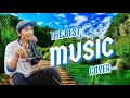 Download Lagu Tundang Tundangan || Pantun Musik Best Cover Lipsync