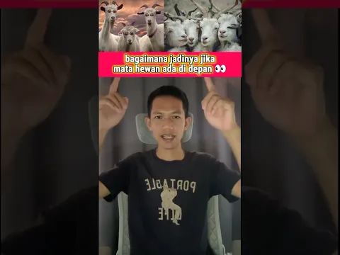 BAGAIMANA JADINYA MATA HEWAN JIKA ADA DI DEPAN #hewan