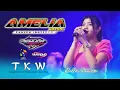 Download Lagu TKW ( Tenaga Kerja Wanita ) - Della Novita - AMELIA Music Pancen Joozzz !!! - NUGROHO Digital Audio