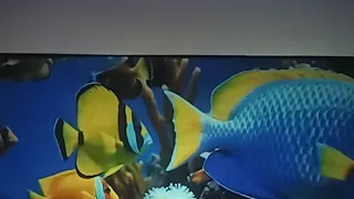 What Does The 130 Viewsonic In 2 35 1 Look Like 