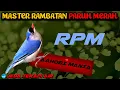 Download Lagu MASTER RPM RAMBATAN PARUH MERAH Jeda Terapi Air AMPUH