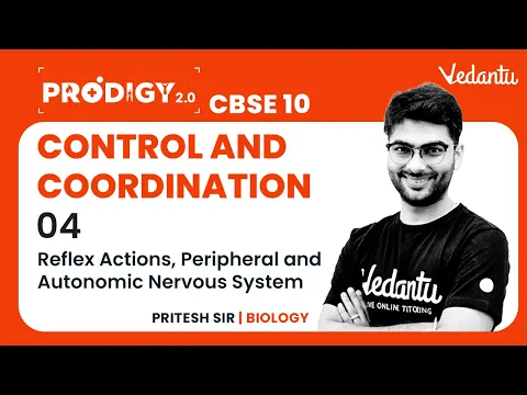 Control and Coordination - 4 Reflex Actions, Peripheral and Autonomic Nervous System - Science video for Grade 10
