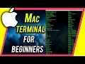 How To Use Terminal On Your Mac - Command Line Beginner s Guide