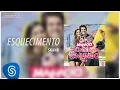 Skank - Esquecimento (Malhação - Seu Lugar no Mundo - Vol 1) [Áudio Oficial]