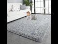 Super Soft Shaggy Rugs Fluffy Carpets 5x8 Feet Indoor Modern Plush Area Rugs for Living Room Fuzzy